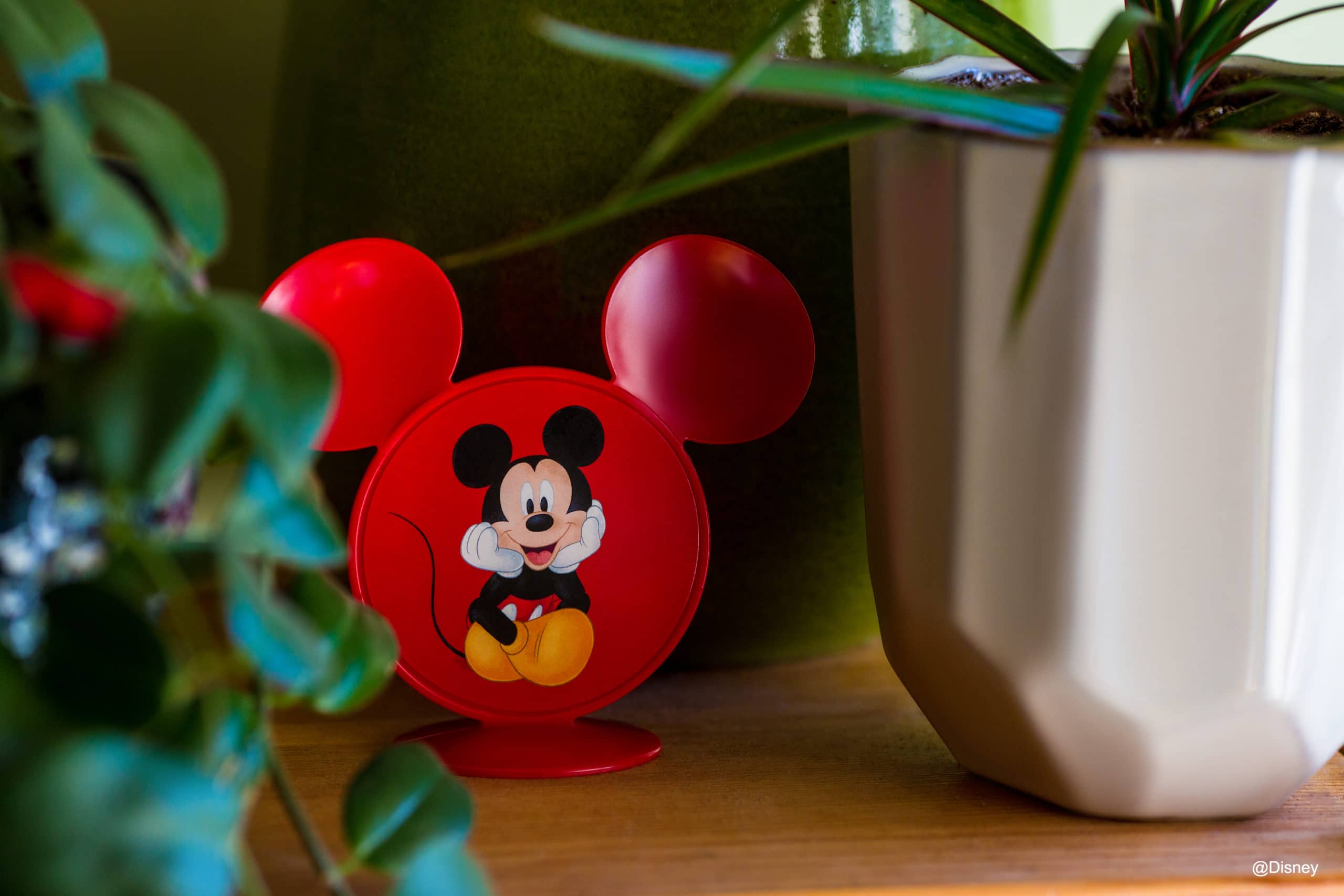Funko Disney Hidden Mickeys 